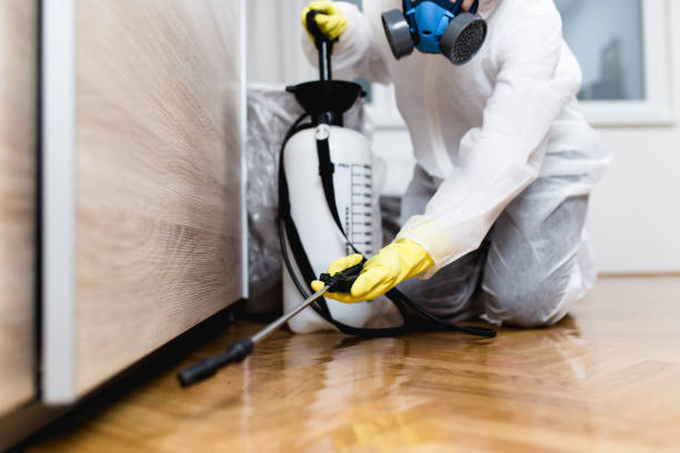 Insect Control in Cape Coral, FL