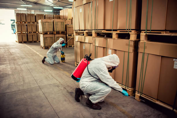 Best Best Pest Control Companies  in Cape Coral, FL