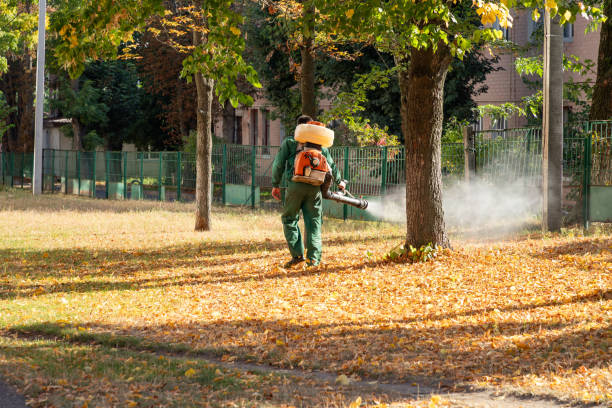 Best Pest Inspection Near Me  in Cape Coral, FL