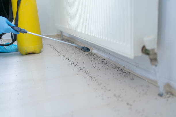 Best Pest Control Near Me  in Cape Coral, FL