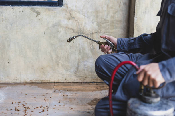 Best Best Pest Control Companies  in Cape Coral, FL